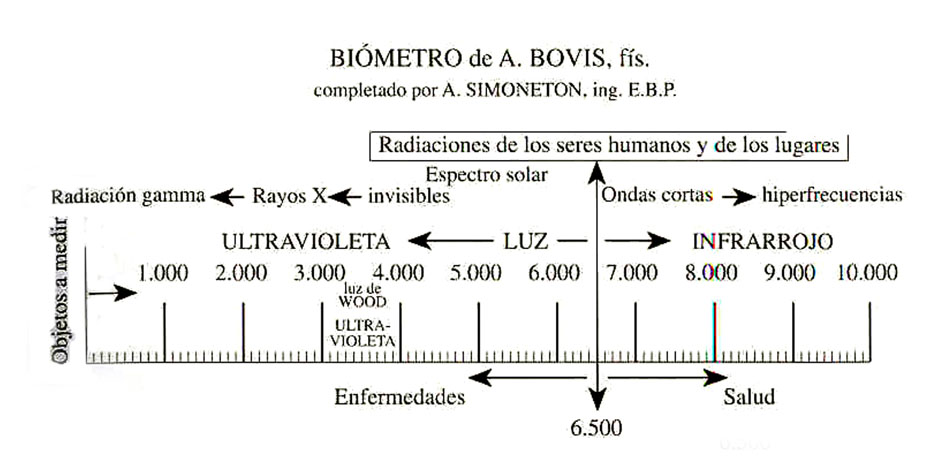 Biometro de Bovis 1